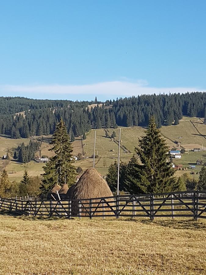 Casa De Oaspeti La Bilbor Экстерьер фото