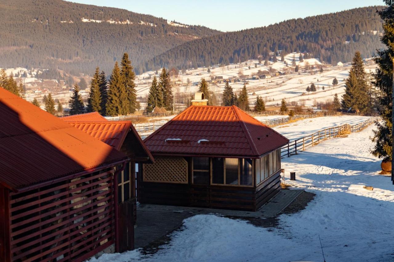 Casa De Oaspeti La Bilbor Экстерьер фото